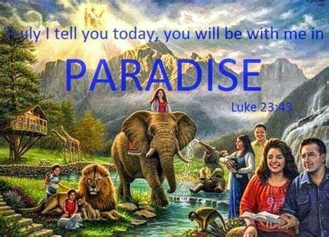 Pinterest Jehovah Paradise Life In Paradise Paradise Pictures