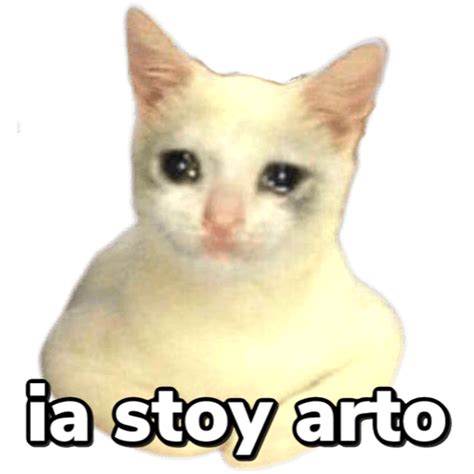 Gatos Sad 2