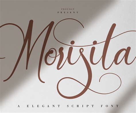 Morisita Elegant Script Font 87455