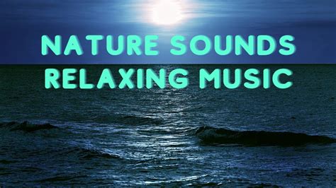 Nature Sounds Relaxing Musicmind Relaxing Music Deep Meditation Music Relaxing Music For