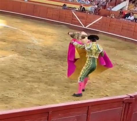 Shocking Moment Spanish Bullfighter Gored In Bum And Tossed In Air As