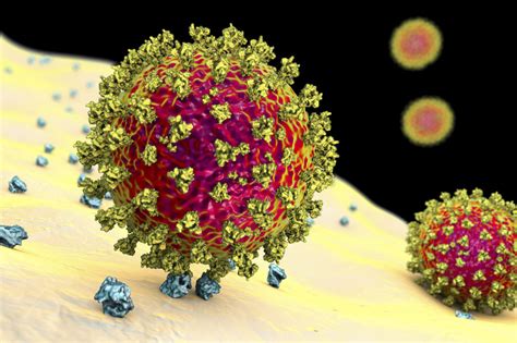 Click on a country or territory to see cases, deaths, and recoveries. The new U.K. coronavirus variant spreads faster, 50 % more transmissible - Ya Libnan