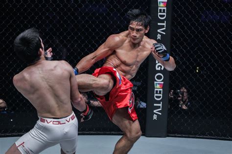 The Most Effective Martial Arts In The Cage One Championship The
