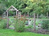Pictures of Rustic Wood Fencing