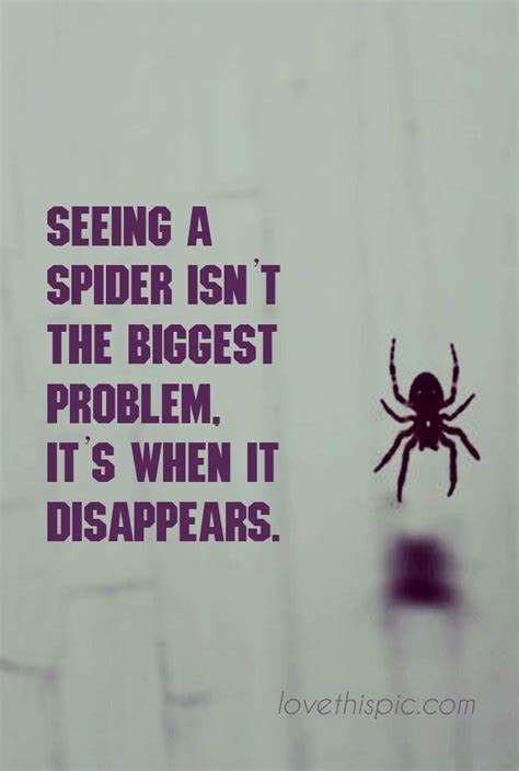 Spider Funny Cute Lol Disappear Humor Pinterest Spider Pinterest Quote