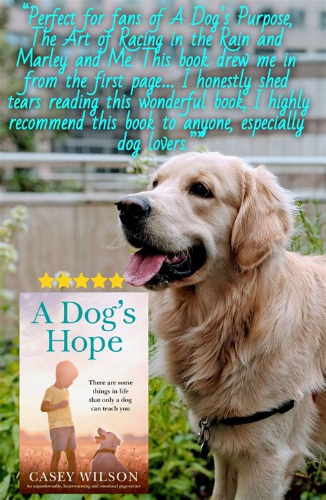 A Dogs Hope Fiction Books Worth Reading Page Turner Womens Fiction
