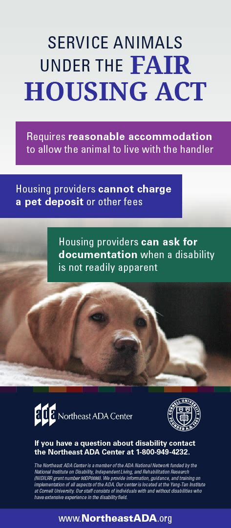 Infographic Service Animals Under The Fair Housing Act The Northeast