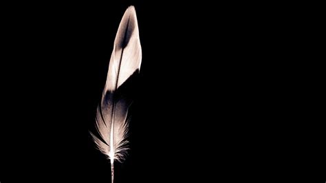 Black And White Feather Minimalist Wallpaper Wallpaper