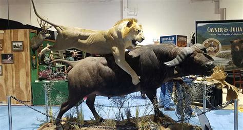 15 Of The Coolest Taxidermy Mounts From The 2020 Sci Convention Wide