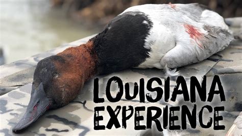 Louisiana Duck Hunting At Its Finest At Honey Brake Lodge Youtube