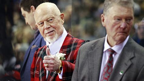 don cherry nhl commentator fired after racist anti immigrant remark