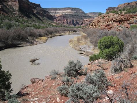 Four Corners Hikes Dolores River Valley Colorado Dolores River Canyon