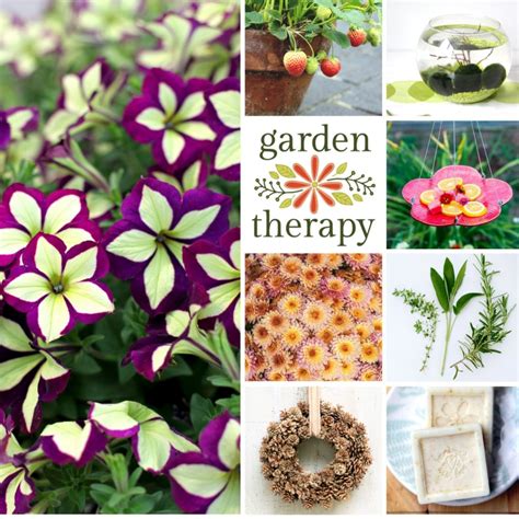 The Best Of Garden Therapy 2017 Garden Therapy