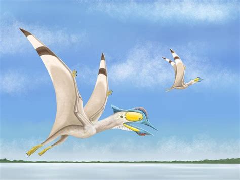 Uk Scientists Find Fourth New Species Of Pterosaur In Just A Few Weeks
