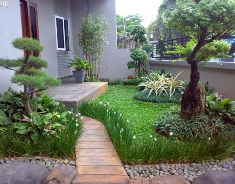 desain taman  rumah minimalis modern  tentang tanaman