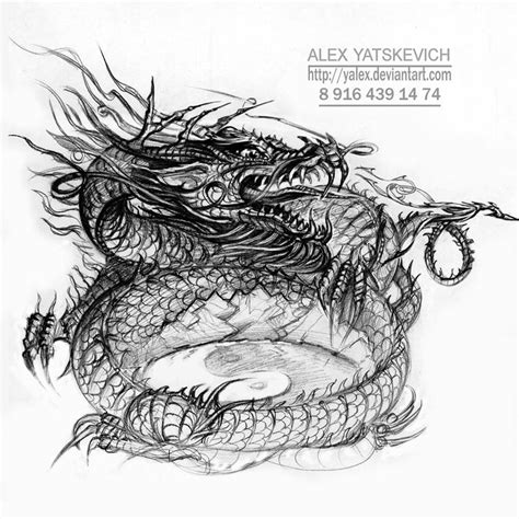 Eastern Dragon Sketch By Yalex On Deviantart
