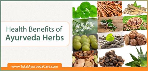 Health Benefits Of Ayurveda Herbs Total Ayurveda Care Blogs Health Tips Health Benefits
