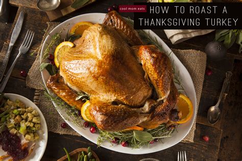 How To Cook A Turkey A Guide To Roasting The Perfect Thanksgiving Bird