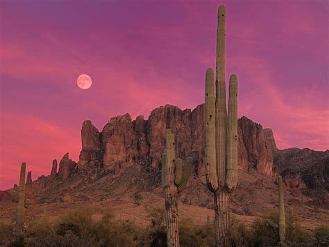 50 Arizona Desert Cactus Wallpapers Download At