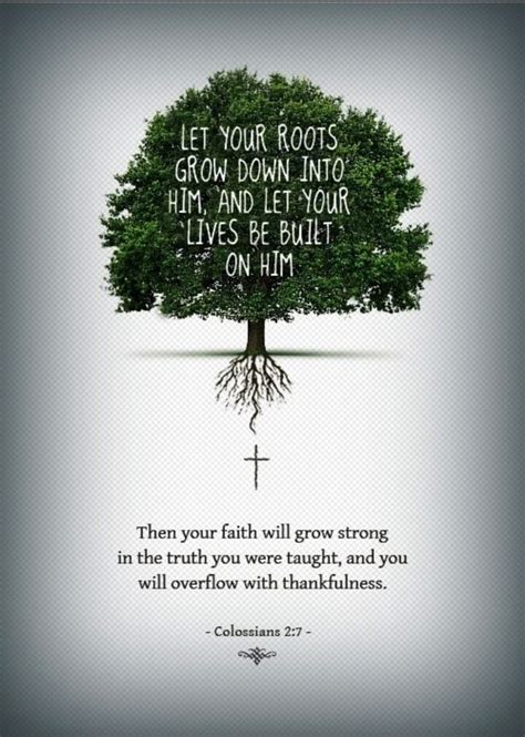 Let Your Roots Grow Down Into And Let Lives Be Built Then Your Faith