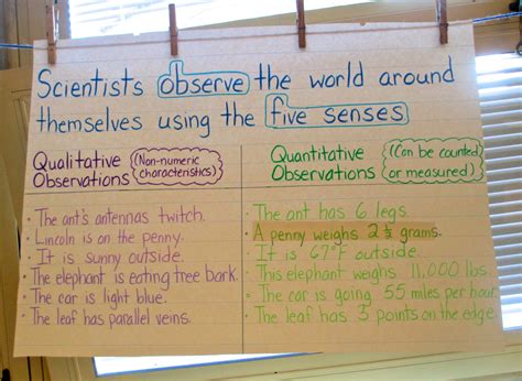 Mystery Bags to Develop Observation and Inference Skills | Scholastic