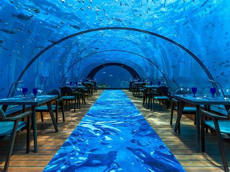 Pin By Michelle Léger On My Favorite Color Underwater Restaurant