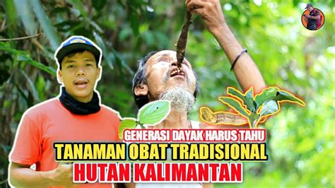Mencari Tumbuhan Obat Tradisional Hutan Kalimantan YouTube