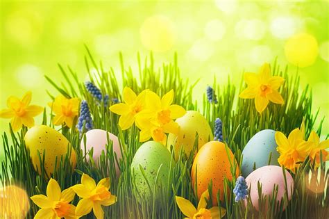 Holiday Easter Daffodil Easter Egg Hd Wallpaper Peakpx