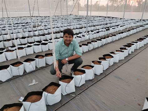 Grow Bag Farms 500 Sqm Rise Hydroponics