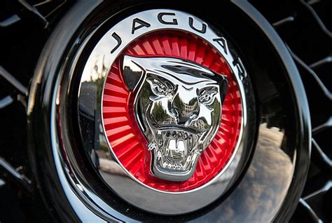 Its roots go back to 1922 when two friends founded the swallow. Jaguar Logo, HD 1080p, Png, Meaning, Information ...