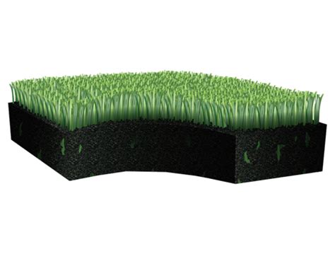 Best Artificial Turf Systems In The Market