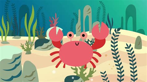 Sea Animal Guessing Game for Kids | Zeledo TV - YouTube