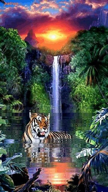 Tiger And Waterfall Beautiful  Amazing Nature Beautiful Artwork