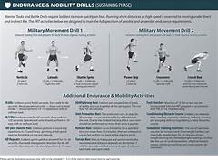 Acronym For Army Prt
