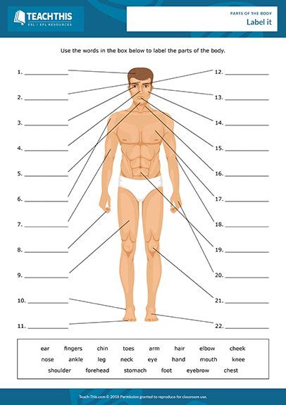 This is just an overview of some of the main parts of each section. Pin on ESL