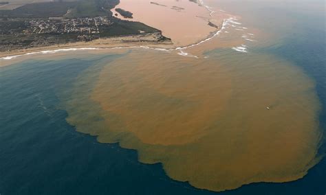 Pollution From Brazil Dam Burst Enters The Sea Killing Marine Life