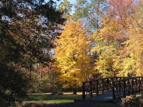 52 Best Autumn In Virginia Images On Pinterest Virginia Blue Ridge