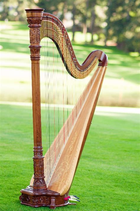 About My Harp Seattle Harpist
