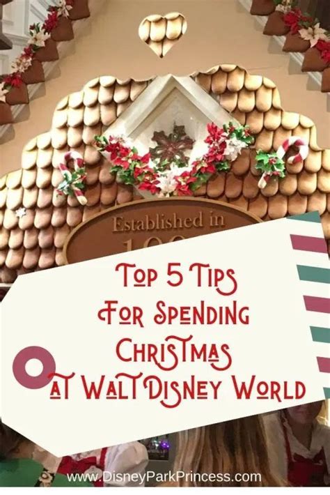 Top 5 Tips To Make The Most Of A Walt Disney World Vacation During