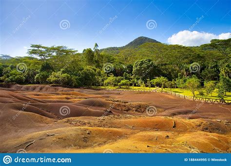 View Of The Sand Dunes At Seven Colored Earth Surrounded With Trees In