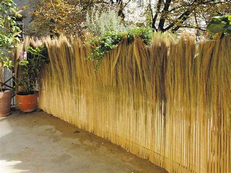 Maybe you would like to learn more about one of these? Farnmatten: Natürlicher Sichtschutz für den Balkon | Hiss Reet