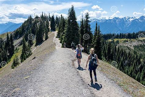 Hikers On Hurricane Ridge Trails In Olympic National Park Washington