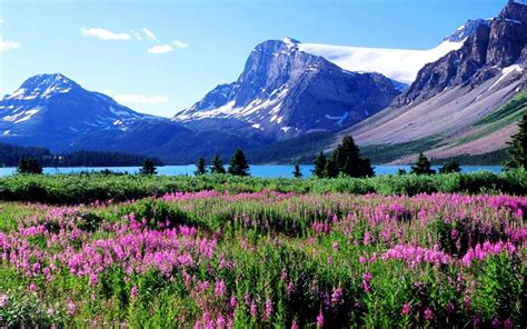 Free Download Alberta Canada Hd Nature Wallpapers For Windows 7 Nature