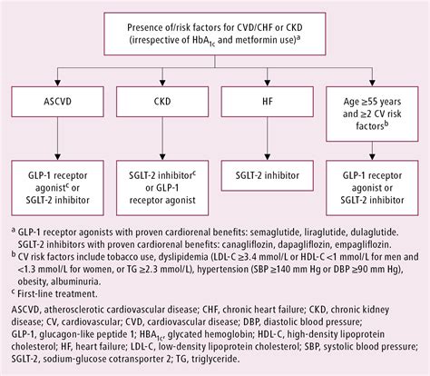 Diabetes Mellitus Type 2 Treatment Guidelines