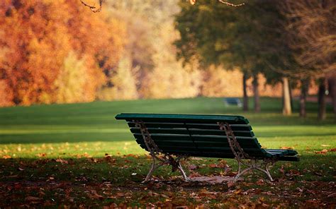 Bench Autumn Park High Resolution Stock Images Wallpaper Nature And