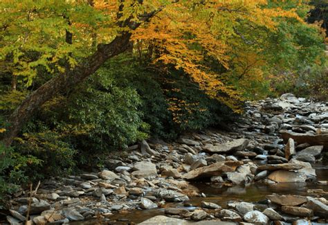 Fall Foliage Map Smoky Mountain Fall Colors River Adventure