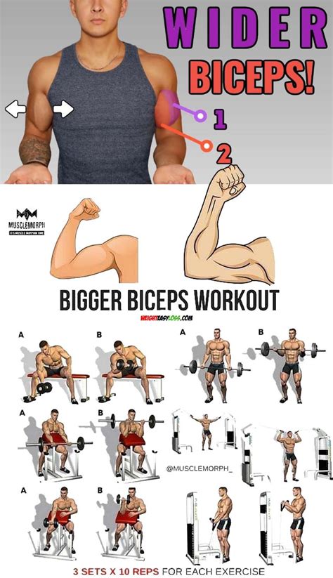 Bigger Biceps Workout Fitness Workouts Good Arm Workouts Gym Workouts