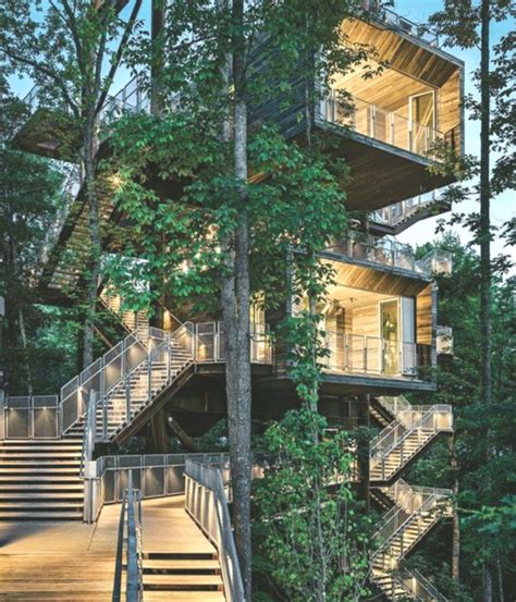 Sustainability Treehouse Mithun 10 Tree House Sustainable