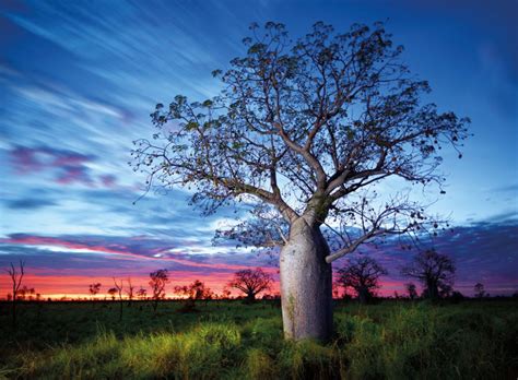 Ken Duncans Guide To Shooting The Outback Australian Traveller