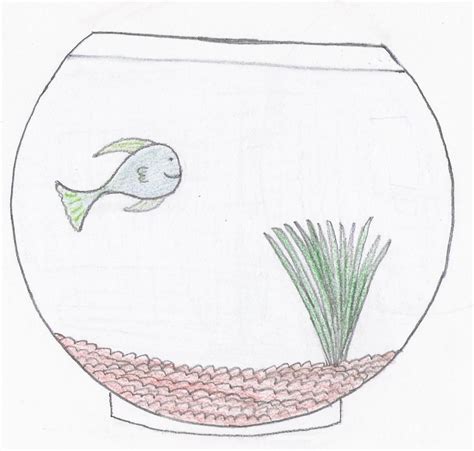 Why can't you announce dates of future releases? Draw a Fish Bowl | Drawings, Fish, Step by step drawing